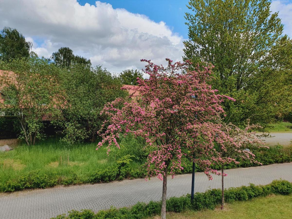Ferienhaus Hase Бург Екстер'єр фото