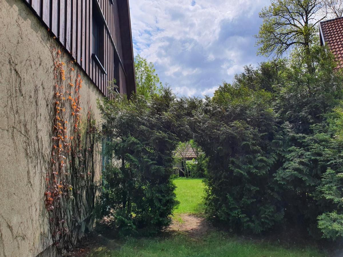 Вілла Ferienhaus Hase Бург Екстер'єр фото